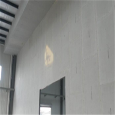 南充宁波ALC板|EPS加气板隔墙与混凝土整浇联接的实验研讨